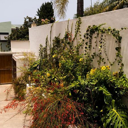 Villa Laurisilva Sauzal Ngoại thất bức ảnh